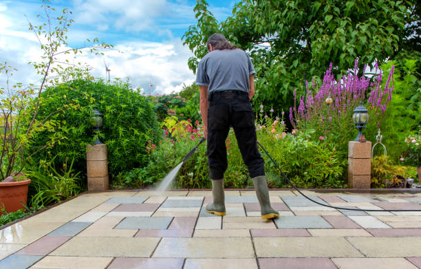 Best Dumpster Area Cleaning  in Mackinac Island, MI